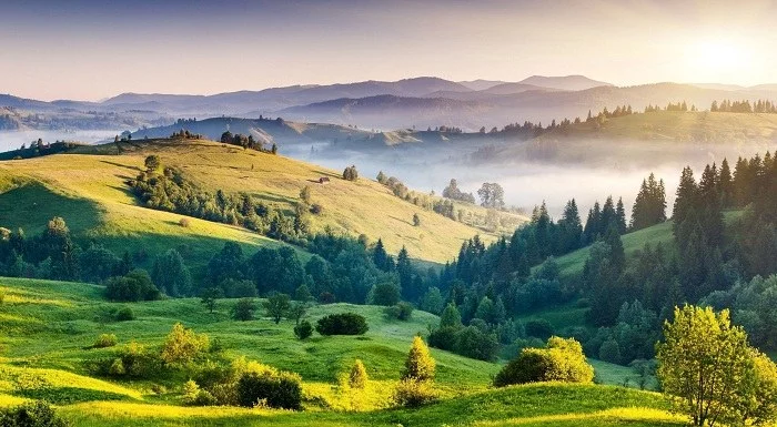 متن طبیعت + جملات زیبا در مورد طبیعت و زیبایی های آن
