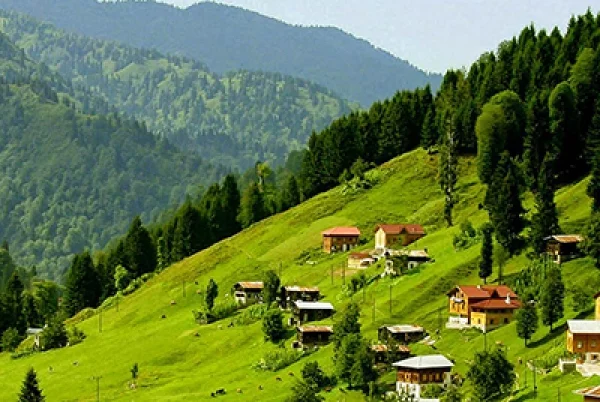 شعر طبیعت + مجموعه اشعار زیبا و خواندنی در مورد طبیعت و سرسبزی