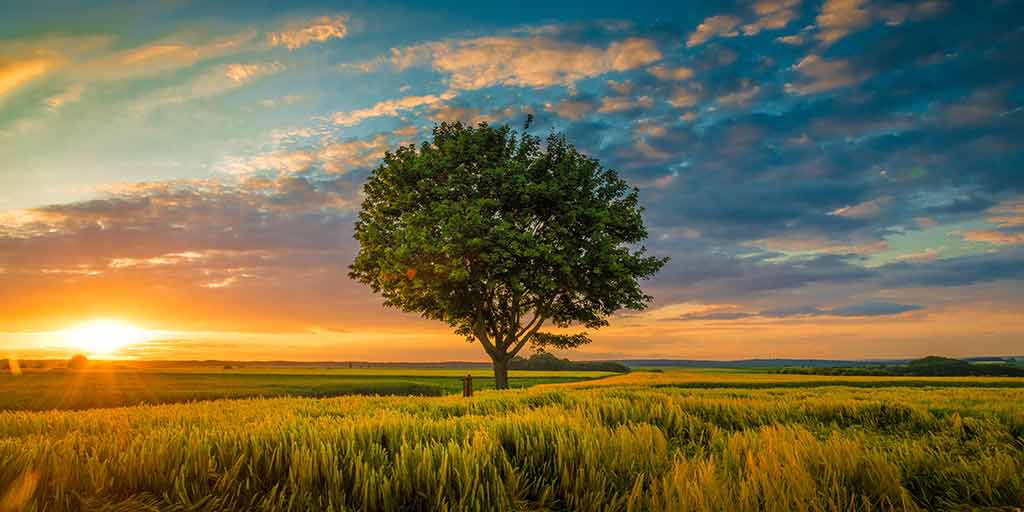 سخنان بزرگان درباره طبیعت با متن ها آموزنده و عکس آرام بخش طبیعت زیبا