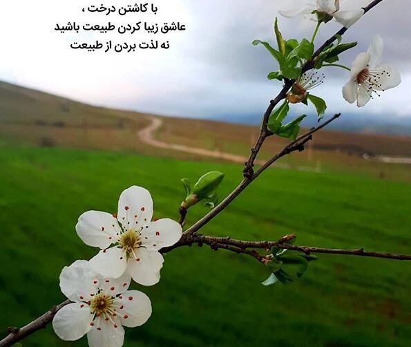 متن انگیزشی طبیعت و جملات خاص در مورد زیبایی های بی نظیر طبیعت