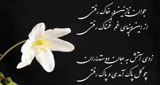 شعر جوانی غمگین + اشعار غمگین و آموزنده برای گذر جوانی عمر