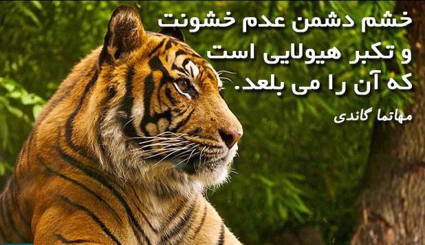 جملات عصبانیت و خشم + سخن بزرگان در مورد خشم و عصبانی شدن