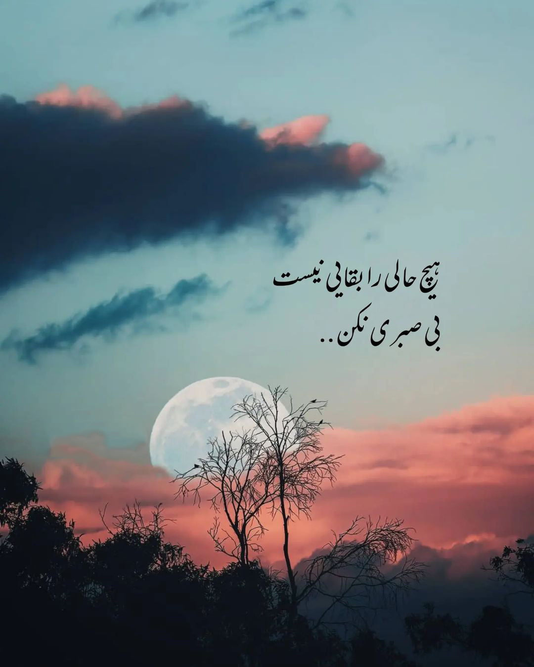 زیباترین متن های دنیا از افراد معروف (دلنوشته، متن، دیالوگ و سخنان)