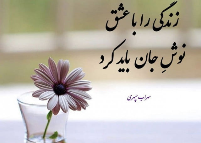 زیباترین متن های دنیا از افراد معروف (دلنوشته، متن، دیالوگ و سخنان)