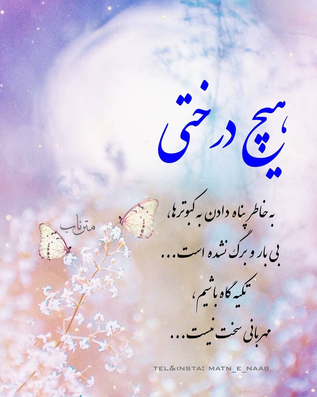 زیباترین متن های دنیا از افراد معروف (دلنوشته، متن، دیالوگ و سخنان)