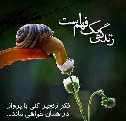 جملات حکیمانه اندیشمندان و متن های فلسفی ناب زیبا