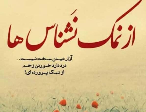 دکلمه در مورد نمک نشناسی و متن درباره دورو بودن و بی معرفتی