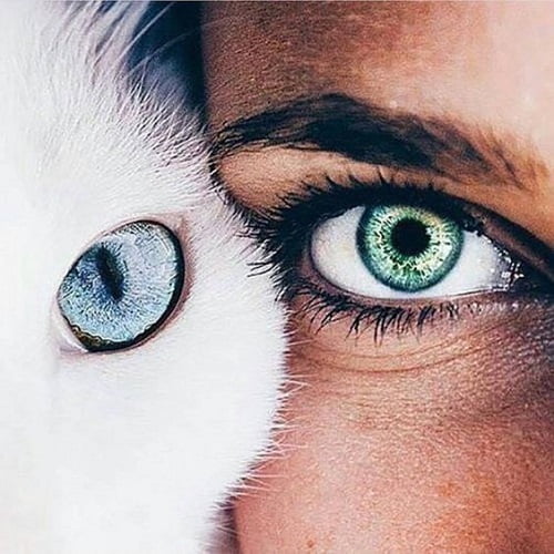 کپشن چشم رنگی و جملات احساسی برای چشم رنگی (سبز، آبی و ...)