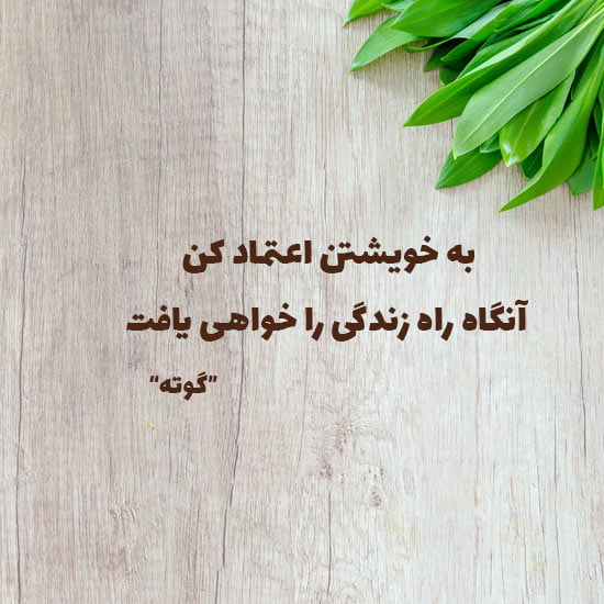 متن اعتماد نکردن به انسان ها با جملات بی اعتمادی و بی اطمینانی
