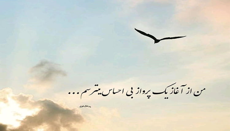 متن پرنده عاشق با برگزیده جملات احساسی عاشقانه درباره پرنده
