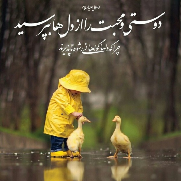متن در مورد مهربانی + جملات و عکس نوشته های زیبا با موضوع مهربانی و محبت