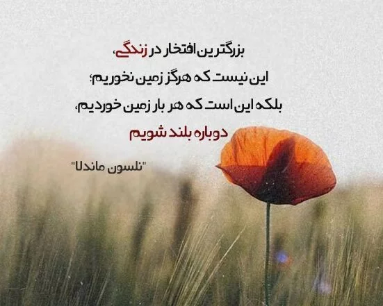 جملات بزرگان در مورد افتخار و متن آموزنده درباره سربلندی خود