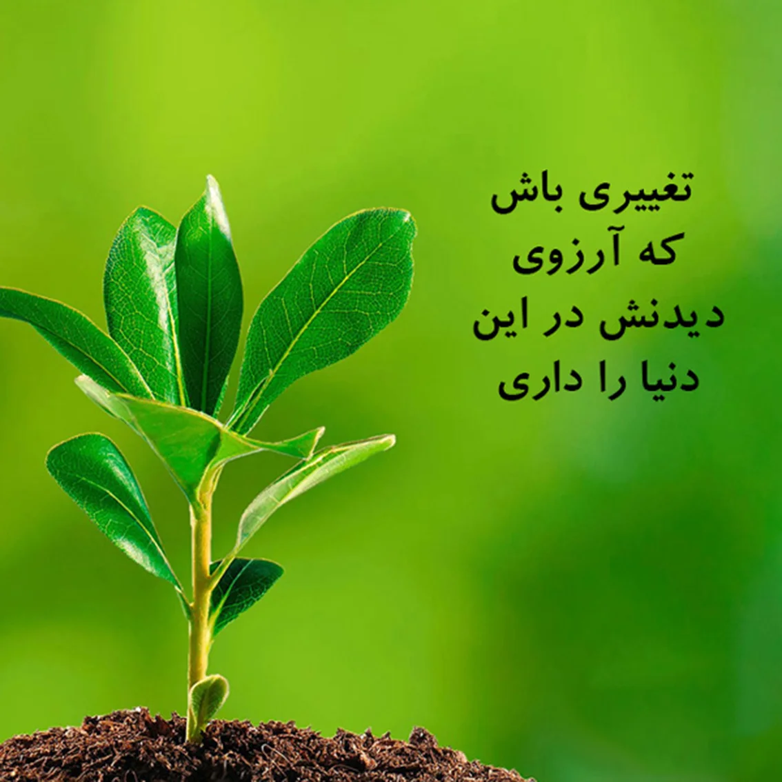 جملات ناب بزرگان در مورد پر انرژی بودن با عکس نوشته جملات مثبت جملات ناب بزرگان در مورد پر انرژی بودن با عکس نوشته جملات مثبت