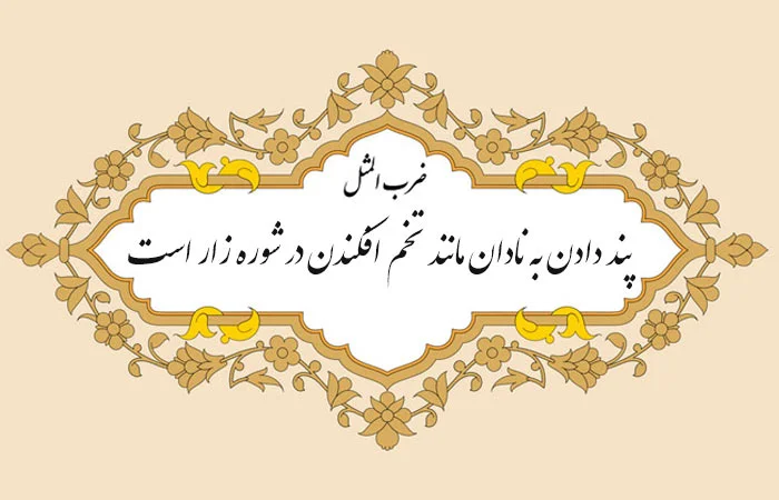 سخنان زیبا در مورد افراد نادان و جملات سنگین درباره انسان احمق