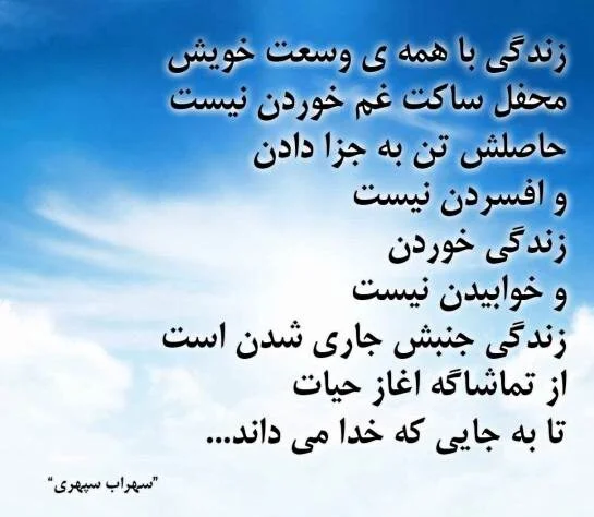 متن فلسفی زیبا در مورد زندگی با گلچین جملات ناب با مفهوم