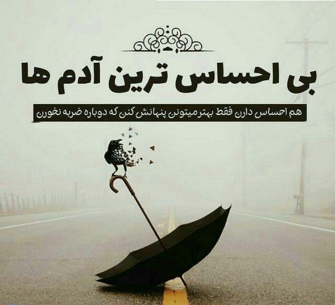 متن درباره آدم بی احساس و جملات خاص در مورد بی تفاوت بودن