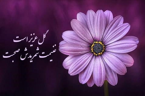 جملات زیبا درباره گل و سخنان آموزنده با کلمه گل
