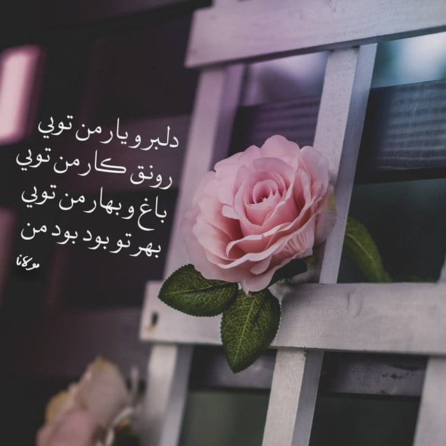 شعرهای زیبا و دلنشین؛ گلچین اشعار ناب قشنگ از شاعران جدید و قدیمی شعرهای زیبا و دلنشین؛ گلچین اشعار ناب قشنگ از شاعران جدید و قدیمی