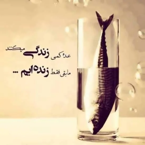متن زیبا و با مفهوم برای پروفایل { جملات ناب با معنی و خاص }