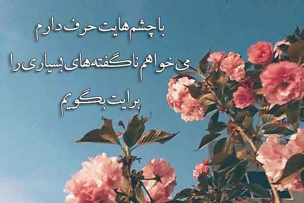 شعر نو کوتاه و بلند در مورد عشق و احساس با عکس نوشته اشعار