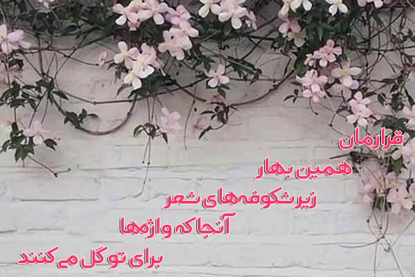 شعر نو کوتاه و بلند در مورد عشق و احساس با عکس نوشته اشعار