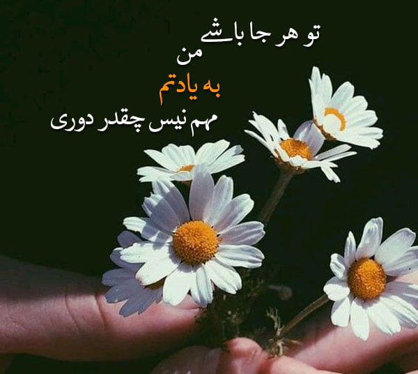 متن به یاد هم بودن عاشقانه با جملات کوتاه احساسی به یاد همسر و عشق بودن