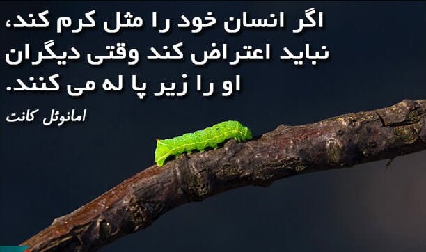 جملات ناب فلسفی بزرگان فلسفه؛ 100 متن قشنگ آموزنده از شخصیت های مهم
