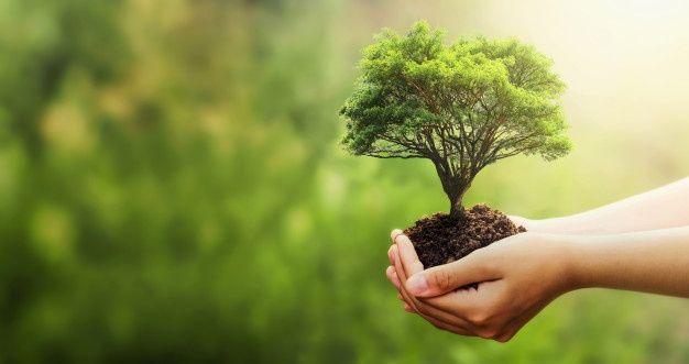 جملات تاکیدی رهاسازی و متن کوتاه تاکیدی بخشش