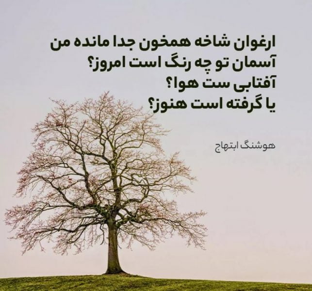 اشعار سایه؛ مجموعه شعر عاشقانه و برگزیده هوشنگ ابتهاج