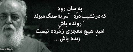 اشعار سایه؛ مجموعه شعر عاشقانه و برگزیده هوشنگ ابتهاج
