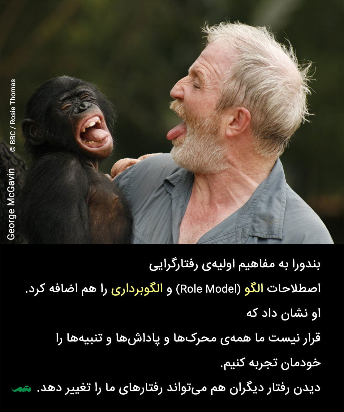 سخنان آلبرت بندورا روانشناس معروف با جملات زیبا و آموزنده ای از او