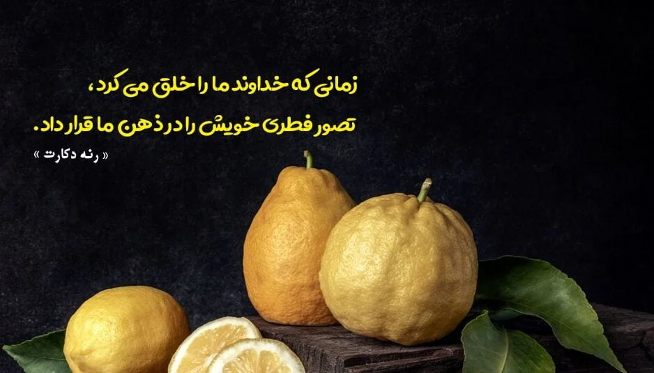 سخنان رنه دکارت فیلسوف و دانشمند؛ با سخنان ناب آموزنده