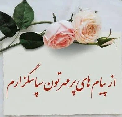 جواب تبریک تولد؛ متن کوتاه و جملات صمیمانه برای قدردانی از عزیزان