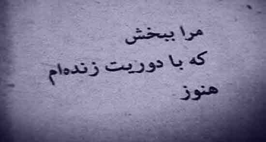 جملات طلب بخشش و متن عذر خواستن از عزیزان (همسر، خانواده و دوست)
