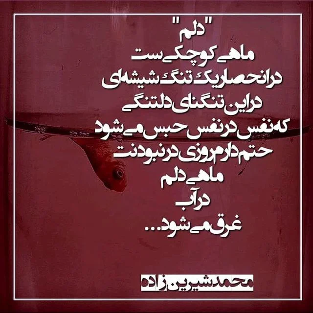 شعر درباره ماهی؛ اشعار عاشقانه زیبا درباره ماهی و دریا