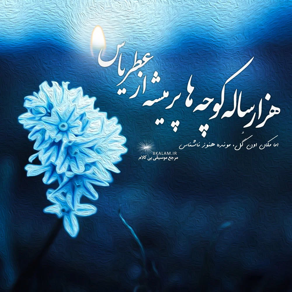 شعر گل یاس؛ اشعار احساسی زیبا با واژه گل یاس با تک بیتی و شعر بلند