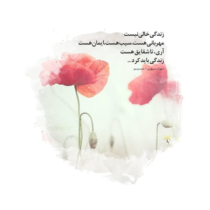 شعر نو درباره مهربانی؛ گزیده قشنگ ترین اشعار احساسی محبت و مهربانی