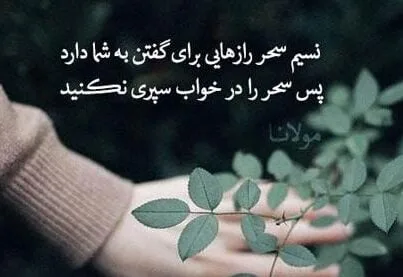 متن انگیزشی از امروز شروع کن؛ 30 جمله انگیزه دهنده آغاز جدید