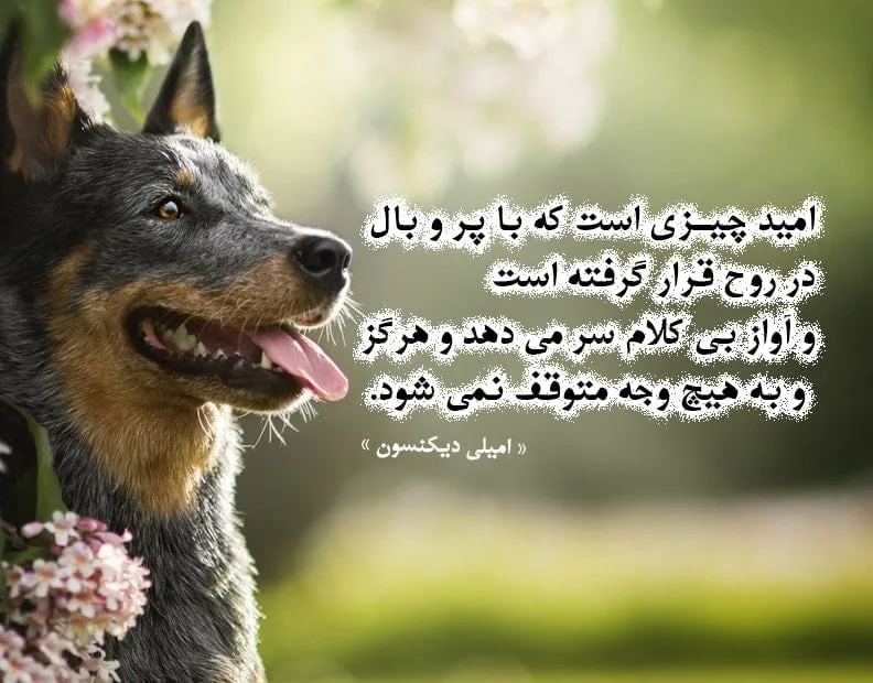 اشعار امیلی دیکنسون؛ گزیده 10 شعر عاشقانه زیبای خانم شاعر
