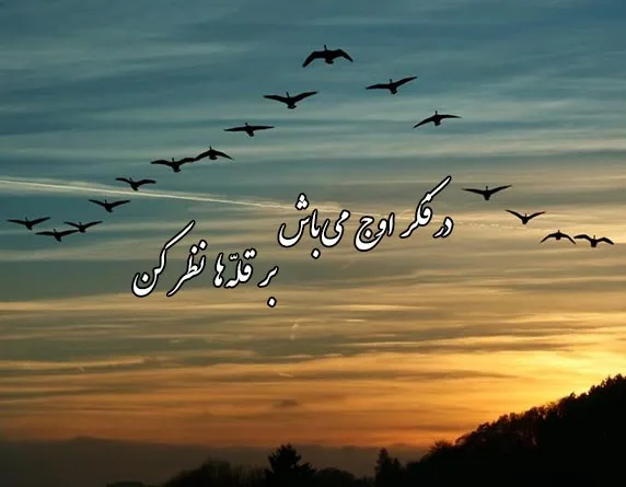 شعر پرنده؛ مجموعه اشعار عاشقانه تک بیتی، دو بیتی و بلند درباره پرنده