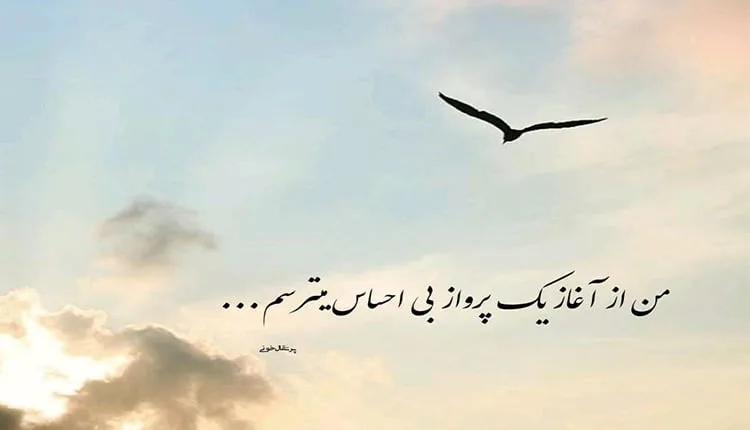 شعر پرنده؛ مجموعه اشعار عاشقانه تک بیتی، دو بیتی و بلند درباره پرنده