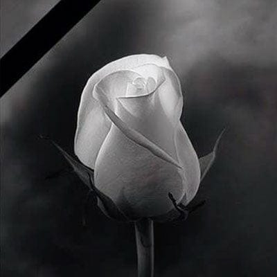 تبریک تولد عزیز از دست رفته؛ جملات غمگین تولدت مبارک برای فرد فوت شده