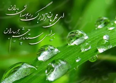 شعر در مورد مهربانی و انسانیت؛ قشنگ ترین اشعار انسان بودن و محبت کردن