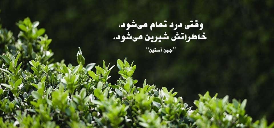 جملات کتاب غرور و تعصب اثر جین آستین؛ متن و جملات خواندنی از این رمان