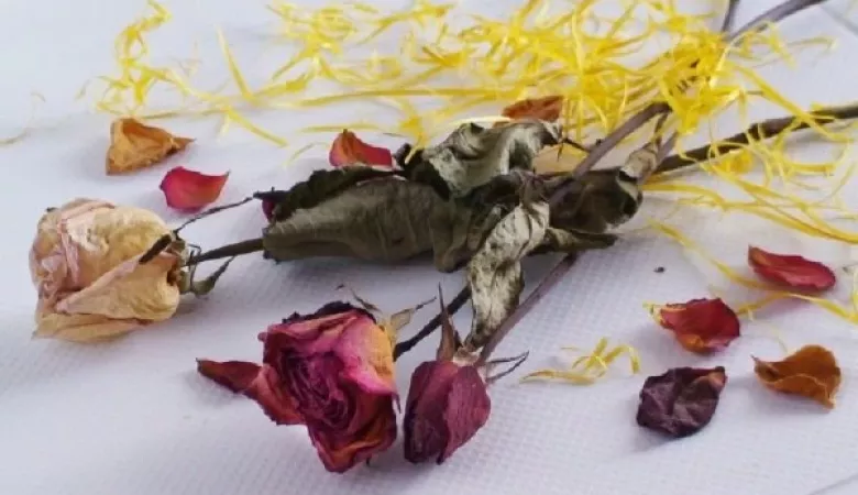 متن عاشقانه گل خشک؛ جملات غم انگیز احساسی درباره گل خشکیده