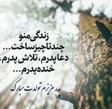 دلنوشته برای تولد پدر؛ متن قشنگ استوری پدر تولدت مبارک
