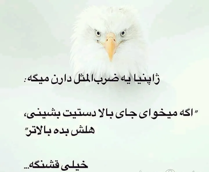 ضرب المثل ژاپنی؛ بیش از 100 ضرب المثل با معنی کشور ژاپن