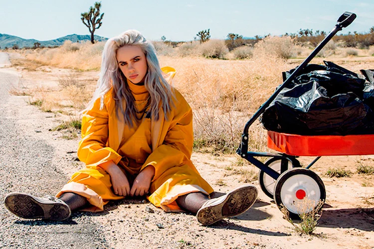 خاص ترین جملات از آهنگ های بیلی آیلیش و حرف های او درباره موفقیت شدن خاص ترین جملات از آهنگ های بیلی آیلیش و حرف های او درباره موفقیت شدن