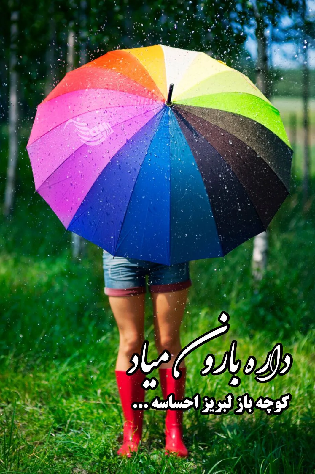 قشنگ ترین جملات درباره باران؛ 200 شعر و جملات زیبای باران عاشقانه