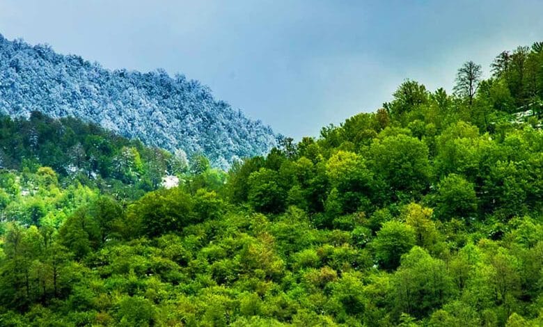 جملات زیبا درباره شمال؛ متن های قشنگ درباره شمال زیبا